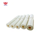 Stantuffo in ceramica di zirconio